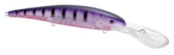 SPRO MadEye Minnow 120 Deep Diving Walleye Trolling Lure -Cheap Fishing Store 32339518750809