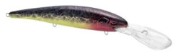 SPRO MadEye Minnow 120 Deep Diving Walleye Trolling Lure -Cheap Fishing Store 32339518914649