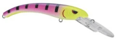 SPRO MadEye Diver 85 Extra Deep Diving Crankbait -Cheap Fishing Store 32339524419673