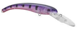 SPRO MadEye Diver 85 Extra Deep Diving Crankbait -Cheap Fishing Store 32339524616281