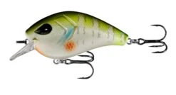 13 Fishing Flatty Daddy 2 1/2 Inch Flat-Sided Squarebill Crankbait -Cheap Fishing Store 39255574184025