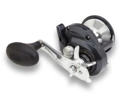 Shimano Torium Star Drag Conventional Reels -Cheap Fishing Store 39267241558105