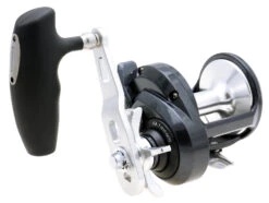 Shimano Torium Star Drag Conventional Reels -Cheap Fishing Store 39267241721945