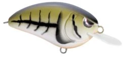 SPRO Little John 50 Type R Shallow Diving Crankbait -Cheap Fishing Store 39332414488665