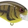 SPRO Little John MD 50 Type R Medium Diving Crankbait
