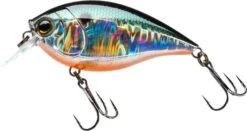 Hardcore Crank SR 65F Shallow Squarebill Crankbait -Cheap Fishing Store 39376003465305