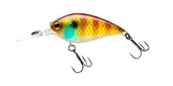 Hardcore Crank MR 60F Medium Crankbait -Cheap Fishing Store 39376023060569