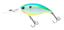 Hardcore Crank 70F 3+ Deep Diving Crankbait -Cheap Fishing Store 39376068804697