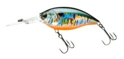 Hardcore Crank 70F 3+ Deep Diving Crankbait -Cheap Fishing Store 39376068968537