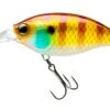 Hardcore Crank 70F 3+ Deep Diving Crankbait