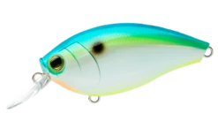 Hardcore Crank 65F 2+ Medium Crankbait 13 Hardcore Crank 65F 2+ Medium Crankbait -Cheap Fishing Store 39410750685273