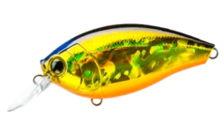 Hardcore Crank 65F 2+ Medium Crankbait 17 Hardcore Crank 65F 2+ Medium Crankbait -Cheap Fishing Store 39410750816345