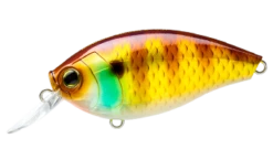 Hardcore Crank 65F 2+ Medium Crankbait 20 Hardcore Crank 65F 2+ Medium Crankbait -Cheap Fishing Store 39410750914649