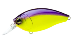 Hardcore Crank 65F 2+ Medium Crankbait 21 Hardcore Crank 65F 2+ Medium Crankbait -Cheap Fishing Store 39410750947417