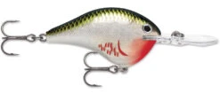 Rapala DT Series Crankbait DT8 -Cheap Fishing Store 39639347134553