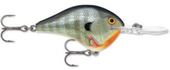 Rapala DT Series Crankbait DT8 -Cheap Fishing Store 39639347232857
