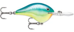 Rapala DT Series Crankbait DT8 -Cheap Fishing Store 39639347265625