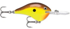 Rapala DT Series Crankbait DT8 -Cheap Fishing Store 39639347298393