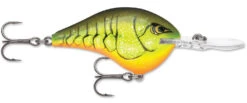 Rapala DT Series Crankbait DT8 -Cheap Fishing Store 39639347331161