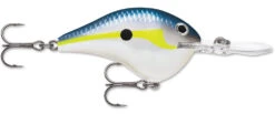 Rapala DT Series Crankbait DT8 -Cheap Fishing Store 39639347593305