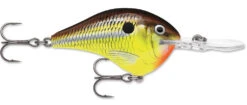 Rapala DT Series Crankbait DT8 -Cheap Fishing Store 39639347626073