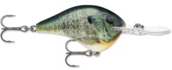 Rapala DT Series Crankbait DT8 -Cheap Fishing Store 39639347658841