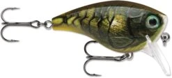 Rapala BX Mid-Brat 05 Squarebill Crankbait -Cheap Fishing Store 39740178366553