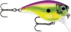 Rapala BX Mid-Brat 05 Squarebill Crankbait -Cheap Fishing Store 39740178432089