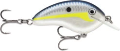 Rapala OG Tiny 04 Shallow Diving Crankbait -Cheap Fishing Store 39756566134873