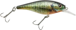Berkley Flicker Shad Shallow Crankbait -Cheap Fishing Store 39767092953177