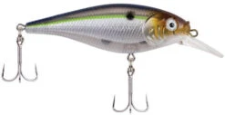 Berkley Flicker Shad Shallow Crankbait -Cheap Fishing Store 39767093018713