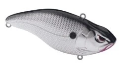 SPRO Aruku Shad 75 Silent -Cheap Fishing Store 39781642895449