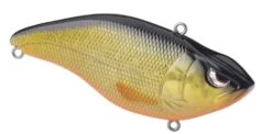 SPRO Aruku Shad 75 Silent -Cheap Fishing Store 39781642993753