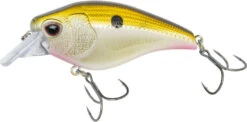 Nomad Design Atlas Squarebill Crankbait 16 Nomad Design Atlas Squarebill Crankbait -Cheap Fishing Store 39840471908441
