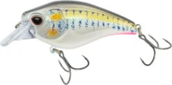 Nomad Design Atlas Squarebill Crankbait 17 Nomad Design Atlas Squarebill Crankbait -Cheap Fishing Store 39840471973977