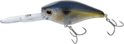 Nomad Design D-Trak Freshwater Extra Deep Diving Crankbait 13 Nomad Design D-Trak Freshwater Extra Deep Diving Crankbait -Cheap Fishing Store 39840486424665