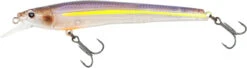 Nomad Design Shikari Freshwater Jerkbait -Cheap Fishing Store 39840502644825
