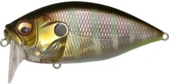 Megabass O.R.C. Over Rev Concept Burning Shad JDM Waking Crankbait -Cheap Fishing Store 40205146456153