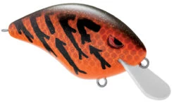 SPRO Speed Demon 55 Crankbait -Cheap Fishing Store 40302758133849
