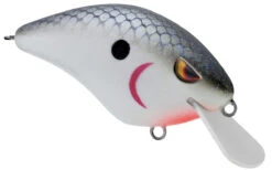 SPRO Speed Demon 55 Crankbait -Cheap Fishing Store 40302758264921