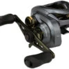 Shimano Curado DC 200 Baitcasting Reel