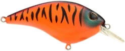 Berkley Clickin Frittside Crankbait -Cheap Fishing Store 40318246617177