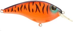 Berkley Clickin Frittside Crankbait -Cheap Fishing Store 40318246649945