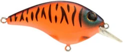 Berkley Clickin Frittside Crankbait -Cheap Fishing Store 40318246682713