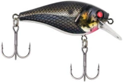 Berkley SquareBull 2 Inch Shallow Squarebill Crankbait -Cheap Fishing Store 40319505465433