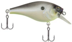 Berkley SquareBull 2 Inch Shallow Squarebill Crankbait -Cheap Fishing Store 40319505563737