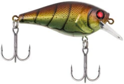 Berkley SquareBull 2 Inch Shallow Squarebill Crankbait -Cheap Fishing Store 40319505858649