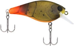 Berkley SquareBull 2 3/4 Inch Shallow Squarebill Crankbait 9 Berkley SquareBull 2 3/4 Inch Shallow Squarebill Crankbait -Cheap Fishing Store 40319508185177
