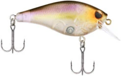 Berkley SquareBull 2 3/4 Inch Shallow Squarebill Crankbait 10 Berkley SquareBull 2 3/4 Inch Shallow Squarebill Crankbait -Cheap Fishing Store 40319508217945