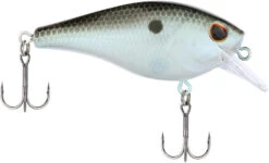 Berkley SquareBull 2 3/4 Inch Shallow Squarebill Crankbait 13 Berkley SquareBull 2 3/4 Inch Shallow Squarebill Crankbait -Cheap Fishing Store 40319508316249